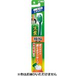 小林製薬 生葉 極幅ブラシ レギュラー ふつう 1本
