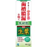 小林製薬 生葉mb 無研磨タイプ 95g