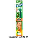 小林製薬 生葉 極幅ブラシ レギュラー やわらかめ 1本