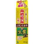 小林製薬 生葉EXa 100g