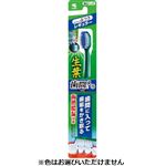 小林製薬 生葉 歯間に入るブラシ レギュラー ふつう 1本