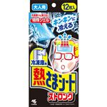 小林製薬 冷凍庫用 熱さまシートストロング 大人用 12枚（2枚×6包）