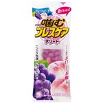 小林製薬 噛むブレスケア アソート 25粒