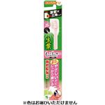 小林製薬 生葉 もふもふ磨けるブラシ コンパクト やわらかめ 1本