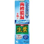 小林製薬 生葉ib 息スーッと実感 100g