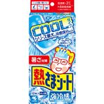 小林製薬 熱さまシート 強冷感 大人用 12枚（2枚×6包）