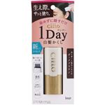 ホーユー シエロ ワンデー白髪かくし ダークブラウン 9ml