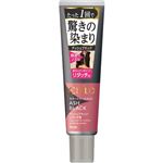 ホーユー シエロ カラートリートメント リタッチ用 アッシュブラック 140g
