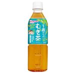 【1歳頃～】和光堂 ベビーのじかん 1歳からのむぎ茶 500ml