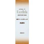 佐藤製薬 エクセルーラ モイスチュアフォーム 120g