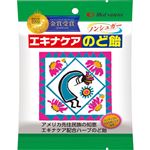 松浦薬業 エキナケアのど飴 52g