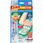 白十字 FC モイストヒーリングパッドS お徳用 12枚入