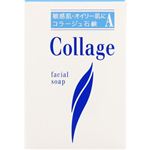 持田ヘルスケア コラージュA 脂性肌用石鹸 100g