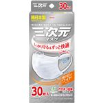 興和 三次元マスク すこし大きめ Lサイズ ホワイト 30枚入