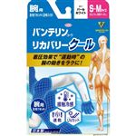 興和 バンテリンコーワリカバリー クール 腕用 S～Mサイズ パールホワイト 2枚