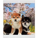 アクティブコーポレーション 2026年 壁掛けカレンダー DOGウォールカレンダー 26ACL‐01