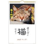 アクティブコーポレーション 2026年 壁掛けカレンダー 日なたぼっこ猫だより 26ACL‐04
