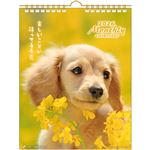 アクティブコーポレーション 2026年 壁掛けカレンダー DOGマンスリー 26ACL‐05