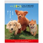 アクティブコーポレーション 2026年 壁掛けカレンダー 森田米雄・メッセージカレンダーDOG 26ACL‐09