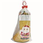 イズミクリエーション カラーブーツ（オーロラゴールド）菓子4個入