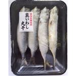 真いわし丸干し  4尾