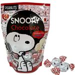 ソリーニ スヌーピーホワイトプラリネチョコ 100g