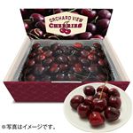 【予約】 アメリカ産 チェリー化粧箱 1箱（1kg） 【6月25日～6月29日のお受取り】