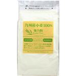 パイオニア企画 九州小麦100％強力粉 800g