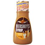 共立食品 ハーシー キャラメルシロップ 230g