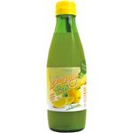 イタリレモン レモンリービオ有機レモン果汁 250ml