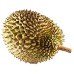 タイ産 ドリアン 1個 ※【4月23日～4月27日配送限定】