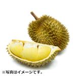 【予約】 タイ産 ドリアン 1個 【7月27日～7月29日のお受取り】