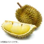 【予約】 タイ産 ドリアン 1個 【6月28日～6月29日のお受取り】