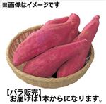 茨城県などの国内産 さつまいも（紅優甘）1本 Lサイズ