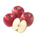 長野県などの国内産 サンふじりんご6個 1袋 【11月29日のお受取り】