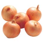 北海道などの国内産 たまねぎ特大袋 1袋 【11月28日～11月30日のお受取り】