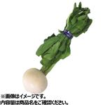 千葉県などの国内産 小かぶ（3～7個入）1束