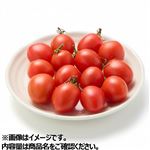 千葉県などの国内産 フルーツミニトマト10プレミアム 120g 1パック