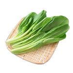 愛知県などの国内産 こまつな 1袋