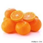 愛知県などの国内産    蒲郡早出しみかん 9個入 Sサイズ