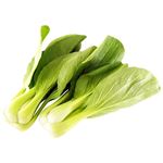 静岡県などの国内産 チンゲン菜 1袋 【3月27日～28日 配送】