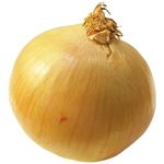 北海道などの国内産 玉ねぎ 1個 【11月3日～11月4日のお受取り】