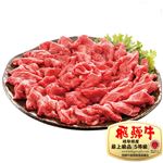 【予約】岐阜県産  飛騨牛切りおとし（5等級・冷凍）（500g ×2パック）計1kg 【12月27日～12月31日のお受取り】
