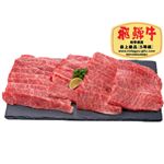 【予約】岐阜県産  飛騨牛もも焼肉用（5等級・冷凍）600g 【12月27日～12月31日のお受取り】