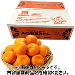 【予約】和歌山県産  ありだみかんSQ（スペシャルクオリティ 糖度12度以上）Sサイズ 5kg 1箱 ※中部地区50点限定 【12月27日～12月31日のお受取り】