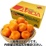 【予約】和歌山県産  ありだみかん Mサイズ 3kg 1箱 ※中部地区80点限定 【12月27日～12月31日のお受取り】