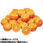 【予約】和歌山県産  ありだみかん L・2Lサイズ 特大パック（2.5kg入り）1パック※サイズ指定は出来ません。 ※中部地区100点限定 【12月27日～12月31日のお受取り】