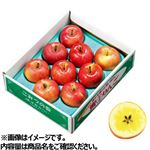 【予約】青森県産  JAつがるみらい こみつりんご3kg（6玉～12玉入り）1箱 ※中部地区50点限定 【12月27日～12月31日のお受取り】
