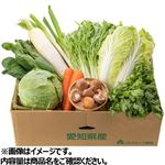 【予約】  おすすめ野菜9品詰め合わせ（大根1本・白菜M1玉・にんじん2本・春菊1袋・ほうれん草1袋・白ネギ1束・水菜1袋・生椎茸1パック・キャベツM1玉）1箱 ※愛ひとつぶパックご飯1個付き※中部地区100点限定 【12月27日～12月31日のお受取り】