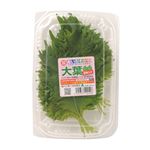 愛知県などの国内産 大葉 1束